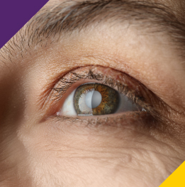 biometria ocular